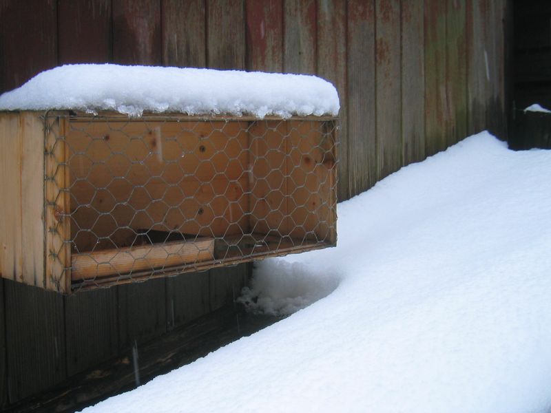 Despite the snowfall, the restaurant is still open!