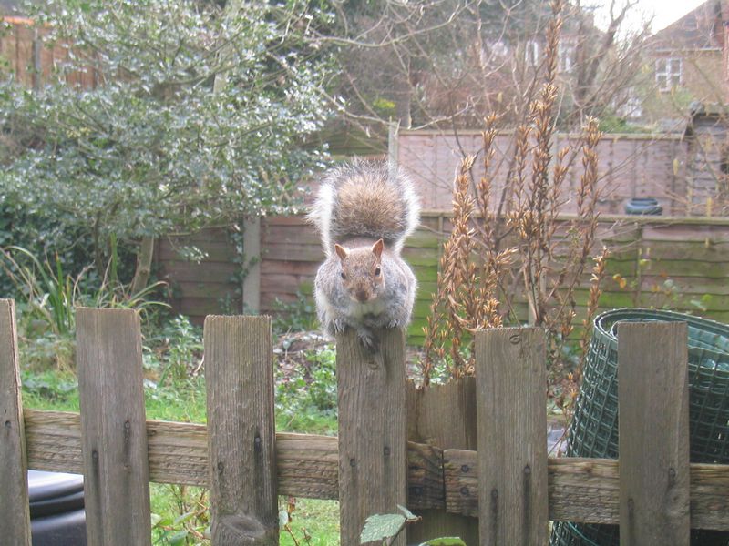 Are those peanuts I see in your hand?