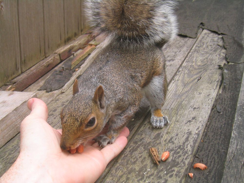 Eating out of the palm of my hand!