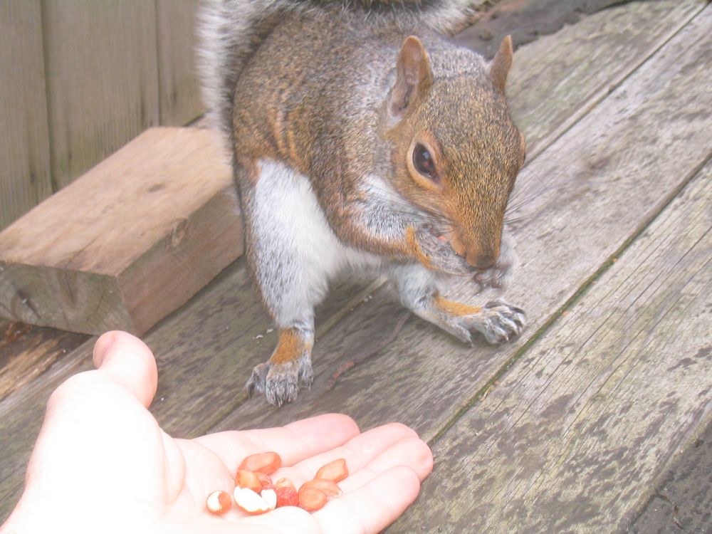 tasty food!