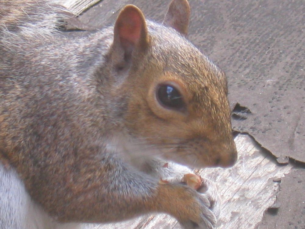 I'll hold still for just a second, between mouthfuls